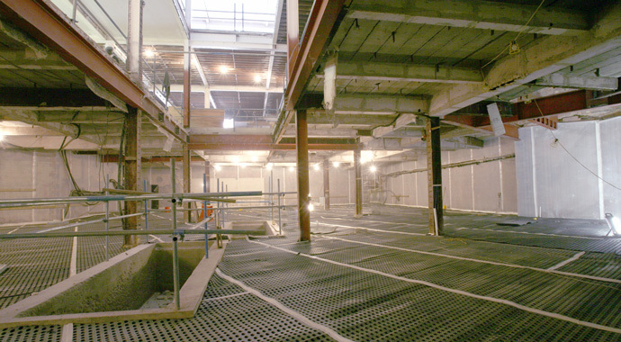 Basement During Refurbishment